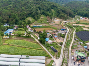 Daepani03.jpg
