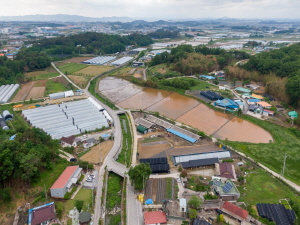 Daepani04.jpg