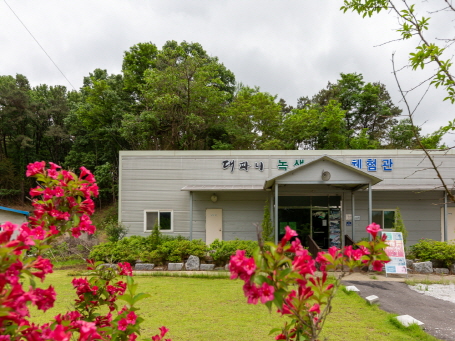 Daepani05.jpg