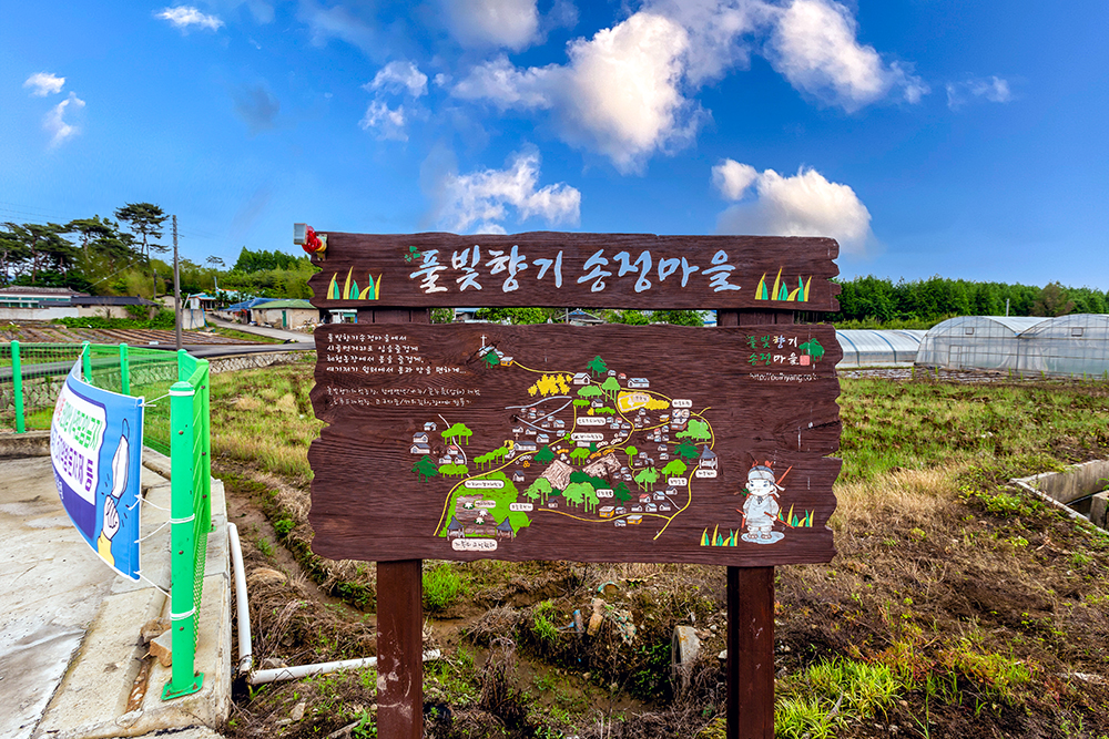 SongJung01.jpg