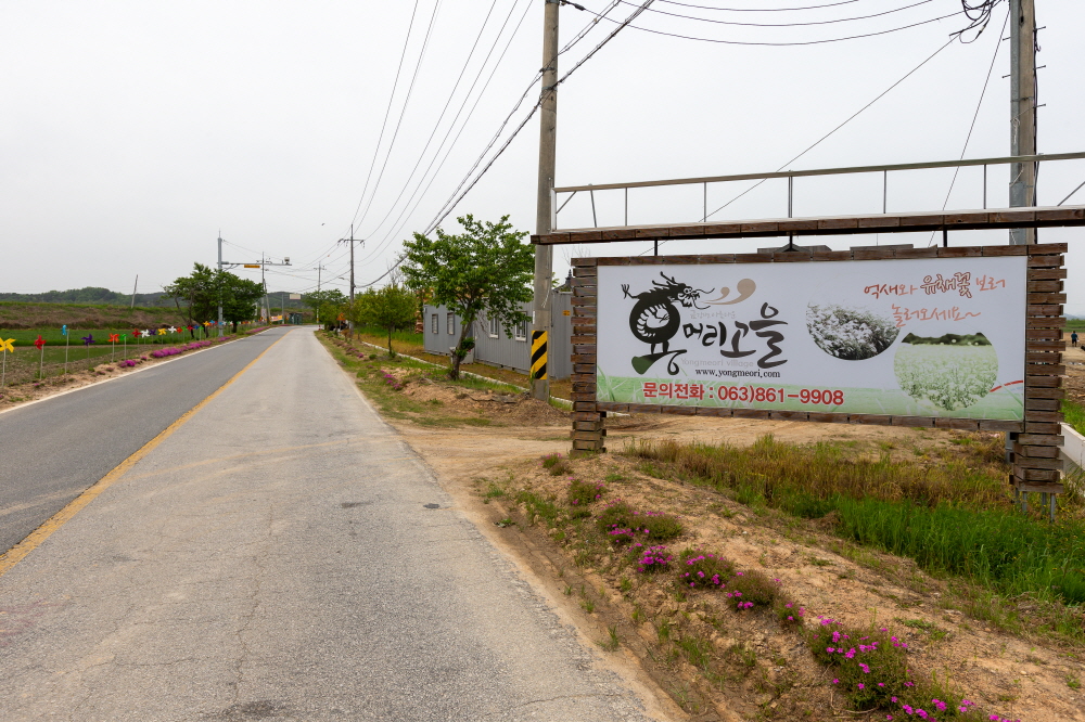 yongmeoligoeul01.jpg