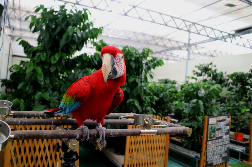 d7713f43cf718e80c7f07eedaa75f87a_1675150286_74442.JPG